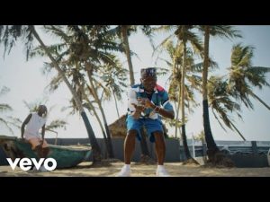 VIDEO: DJ Spinall – “Sere” ft. Fireboy DML