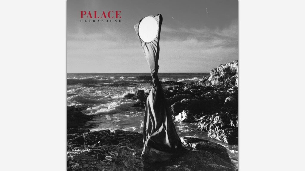 Palace – Bleach