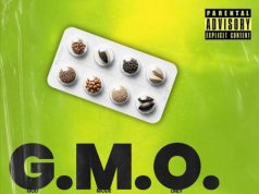 Vector – G.M.O. (Freestyle) Vector – G.M.O. (Freestyle)