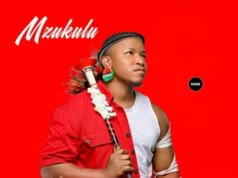 Mzukulu – Ngelinye ilanga ft. Siya Ntuli Mzukulu – Firefighter Ft. Shisamabhodwe