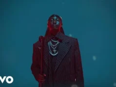 Da Muziqal Chef – Intro (Visualizer) Ft Kabza De Small & Mkeyz Da Muziqal Chef – Intro (Visualizer) Ft Kabza De Small & Mkeyz